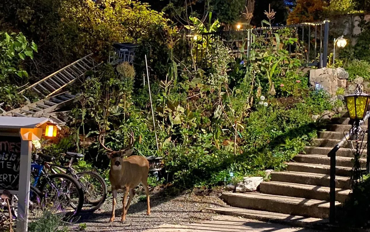 Hudson Homes Bnb Victoria